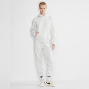 TNA/Aritzia cozy sweatfleece perfect hoodie in heather cloud white